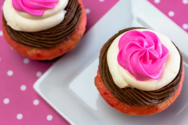 Cupcakes de neapolitan — Fotografia de Stock