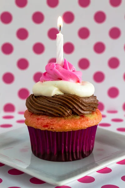 Cupcakes de neapolitan — Fotografia de Stock