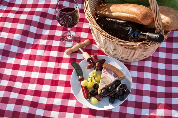 Picnic. —  Fotos de Stock