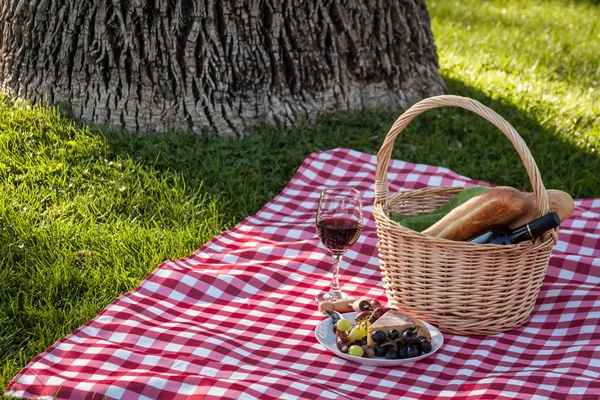 Picknick — Stockfoto