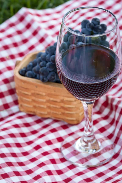 Picnic — Stock Photo, Image