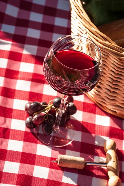 Vineyard — Stock Photo, Image