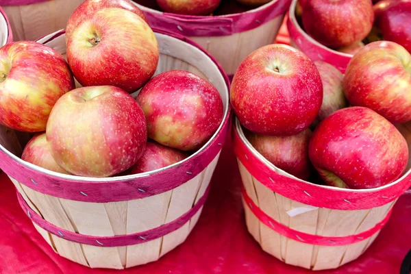 Marché des agriculteurs — Photo