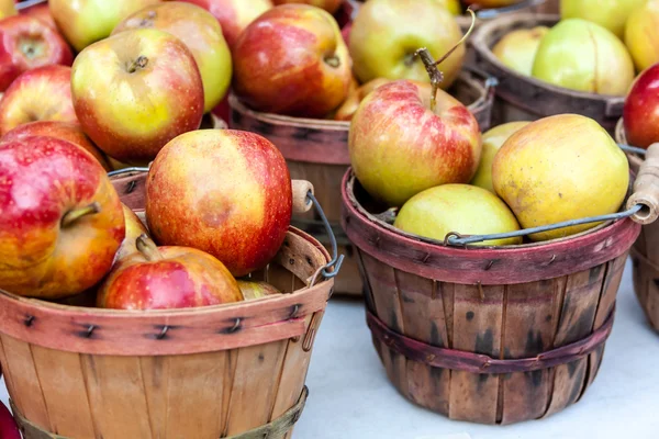 Marché des agriculteurs — Photo