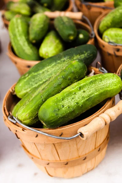 Gårdbrukermarkedet – stockfoto