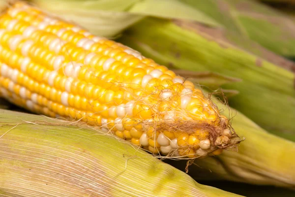 Mercado dos agricultores — Fotografia de Stock