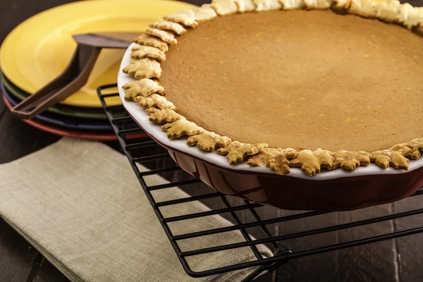 Pumpkin Pie — Stock Photo, Image