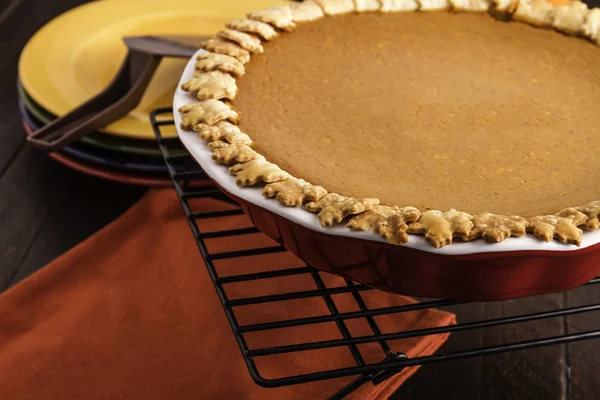 Pumpkin Pie — Stock Photo, Image