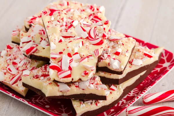 Traditionell semester chocolate peppermint bark — Stockfoto