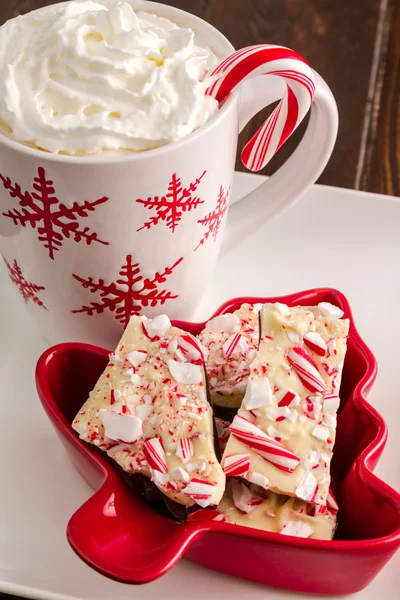 Traditionell semester chocolate peppermint bark — Stockfoto