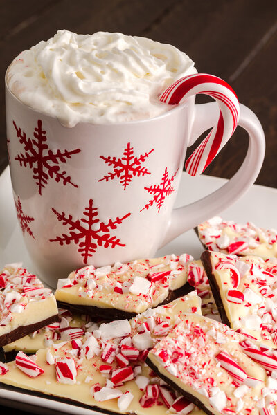 Традиционная праздничная кора мяты и шоколада
