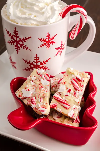 Traditionell semester chocolate peppermint bark — Stockfoto