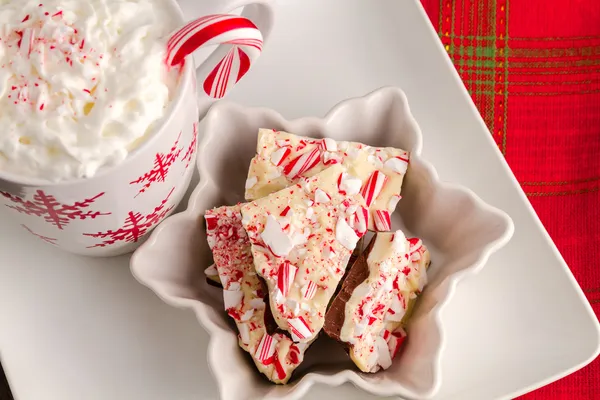 Traditionell semester chocolate peppermint bark — Stockfoto