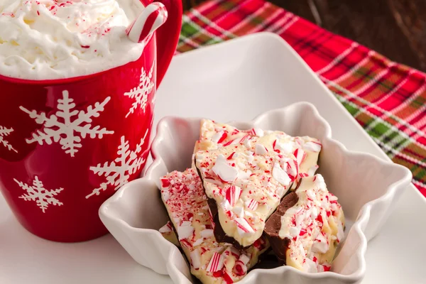 Traditionell semester chocolate peppermint bark — Stockfoto