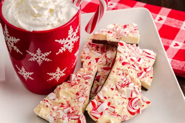 Traditionell semester chocolate peppermint bark — Stockfoto