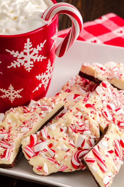 Традиционная праздничная кора мяты и шоколада
