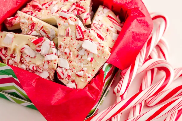 Traditionell semester chocolate peppermint bark — Stockfoto