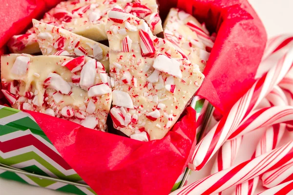 Traditionell semester chocolate peppermint bark — Stockfoto