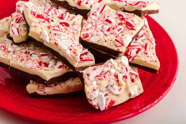 Casca tradicional de hortelã-pimenta de chocolate de férias — Fotografia de Stock