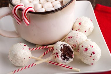 Brownie naneli kek çıkar