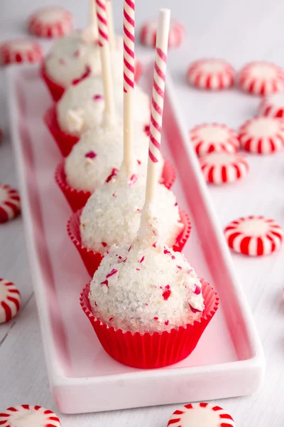 Brownie Pepper Mint Cake Pops — Stockfoto