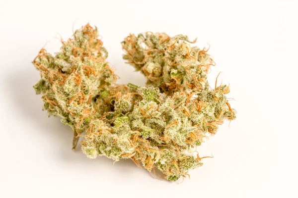 Marijuana Buds — Stock Photo, Image