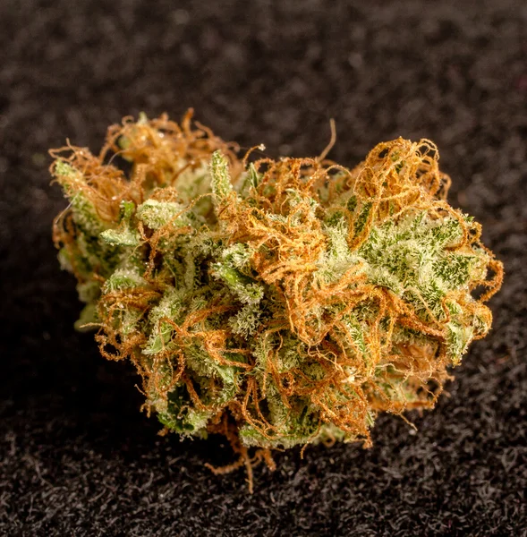 Marihuana Buds — Foto de Stock