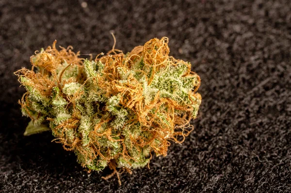 Marijuana Buds — Stock Photo, Image