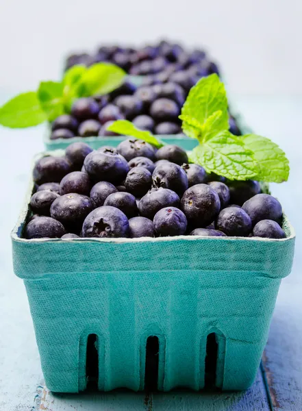 Fresh picked organic blueberries — Stock Photo, Image