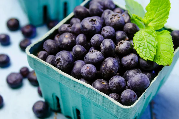 Fresh picked organic blueberries — Stock Photo, Image