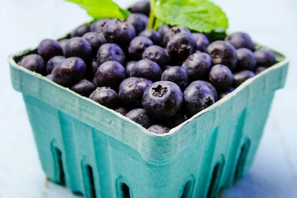 Fresh picked organic blueberries — Stock Photo, Image