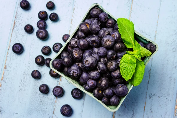 Fresh picked organic blueberries — Stock Photo, Image