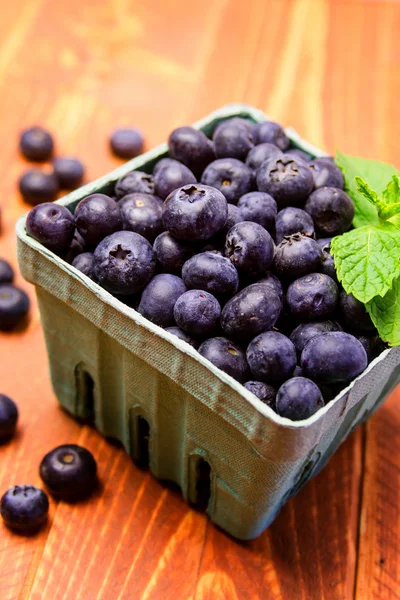 Frisch gepflückte Bio-Blaubeeren — Stockfoto