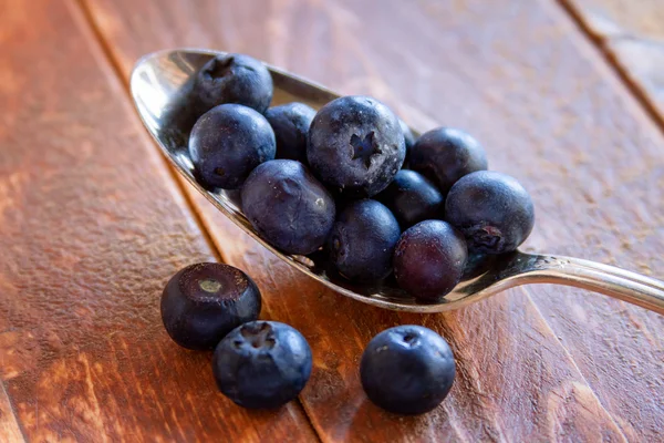 Frisch gepflückte Bio-Blaubeeren — Stockfoto