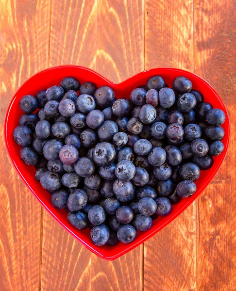 Fresh picked organic blueberries — Stock Photo, Image