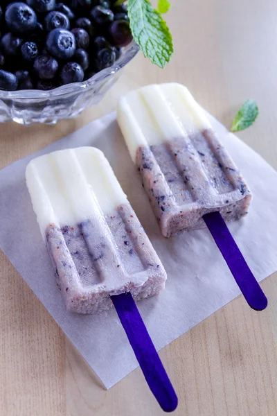 Hemgjord vanilj, blåbär och kokosmjölk popsicles — Stockfoto