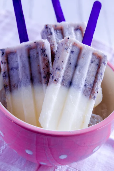 Hemgjord vanilj, blåbär och kokosmjölk popsicles — Stockfoto