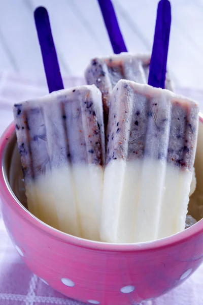 Vainilla casera, arándanos y paletas de leche de coco — Foto de Stock