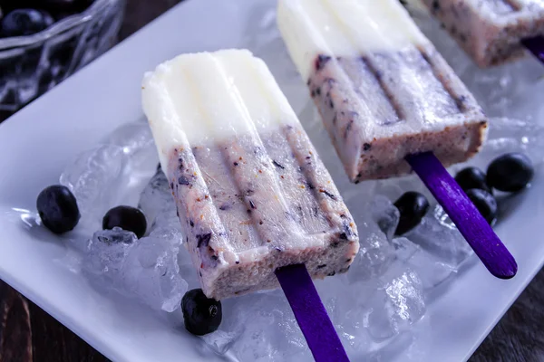 Popsicles maison à la vanille, aux bleuets et au lait de coco — Photo