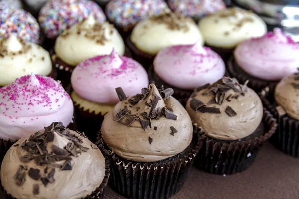 Blandade smaker av cupcake på displayen — Stockfoto