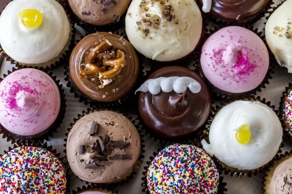 Diverse smaken van cupcake op display — Stockfoto