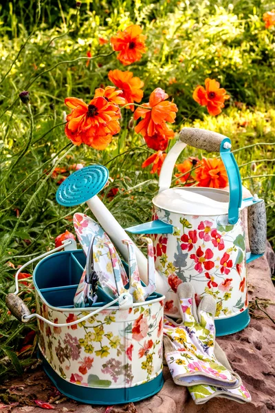 Kleurrijke tuingereedschap in tuin — Stockfoto