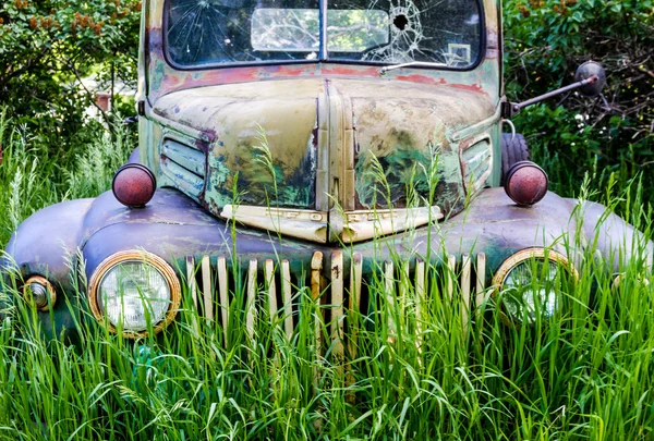 Vintage Abandoned Truck in Field — Stock Photo, Image
