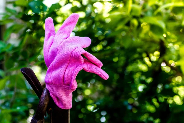 Barevné zahradnické rukavice na plot — Stock fotografie