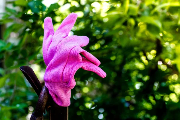 Kleurrijke tuinieren handschoenen op hek — Stockfoto