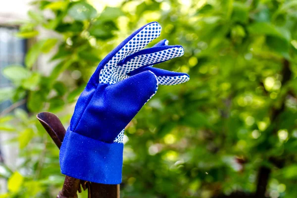 Kleurrijke tuinieren handschoenen op hek — Stockfoto