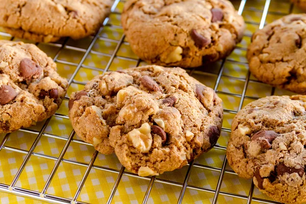 Hemgjord choklad chip cookies med valnötter — Stockfoto