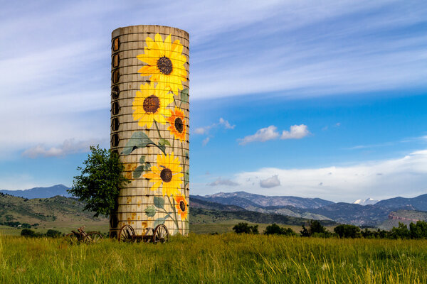 Rural Ranch Sunflower Farm Silo