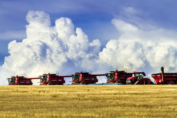 Large Red Combines Agriculture Equipment — Stock Photo, Image