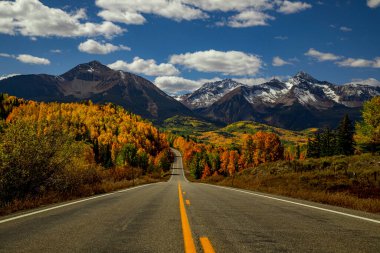 Telluride Colorado yakınlarındaki manzaralı sonbahar manzarası. Uzakta karla kaplı dağ zirveleri, güneşli bir öğleden sonra, sarı ve turuncu Aspen ağaçları ile birlikte sonbahar renklerine yakın.